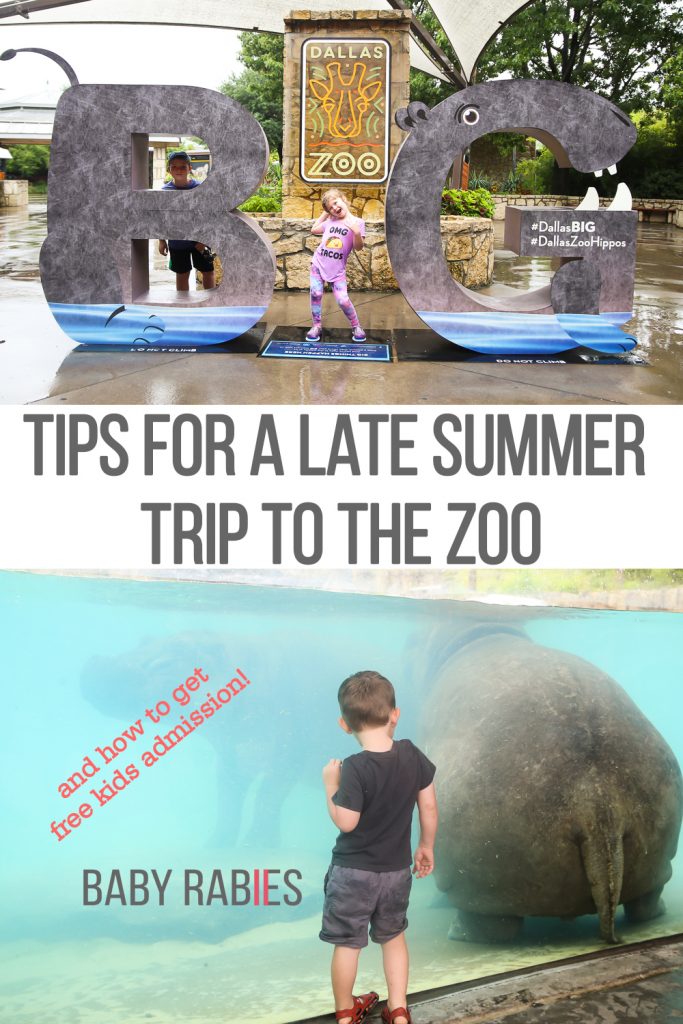 Tips For Squeezing In A Late Summer Trip To The Zoo & How To Get Free Kids Admission For A Limited Time | BabyRabies.com